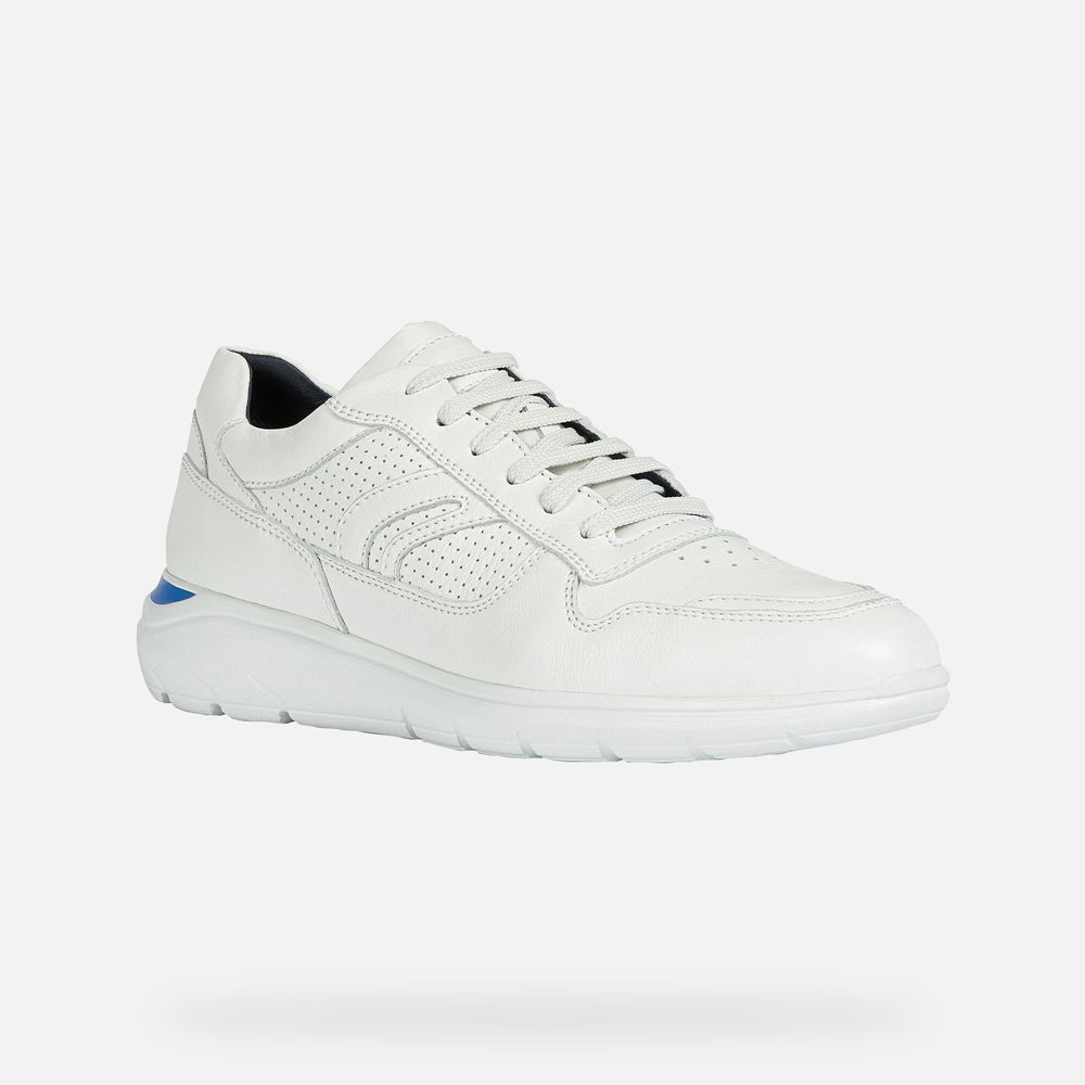 Geox Sneakers White Sestiere - Geox Mens Shoes - GSEKYQ934